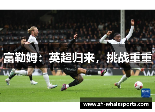 富勒姆:英超归来,挑战重重 富勒姆:英超归来,挑战重重