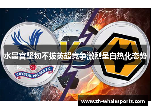 水晶宫坚韧不拔英超竞争激烈呈白热化态势 水晶宫坚韧不拔英超竞争激烈呈白热化态势